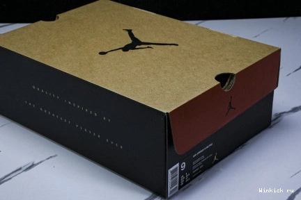 Flu Game 12 JORDAN AIR (2025) 1125